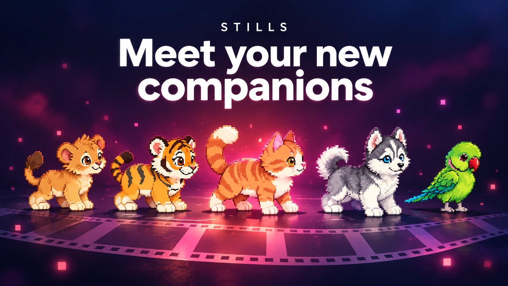 Illustration introducing Companions in the Stills app for Apple iPhone, iPad, and Mac, with Lion Cub, Tiger Cub, Ginger Cat, Husky Puppy, and Parrot above a filmstrip beneath Meet your new companions