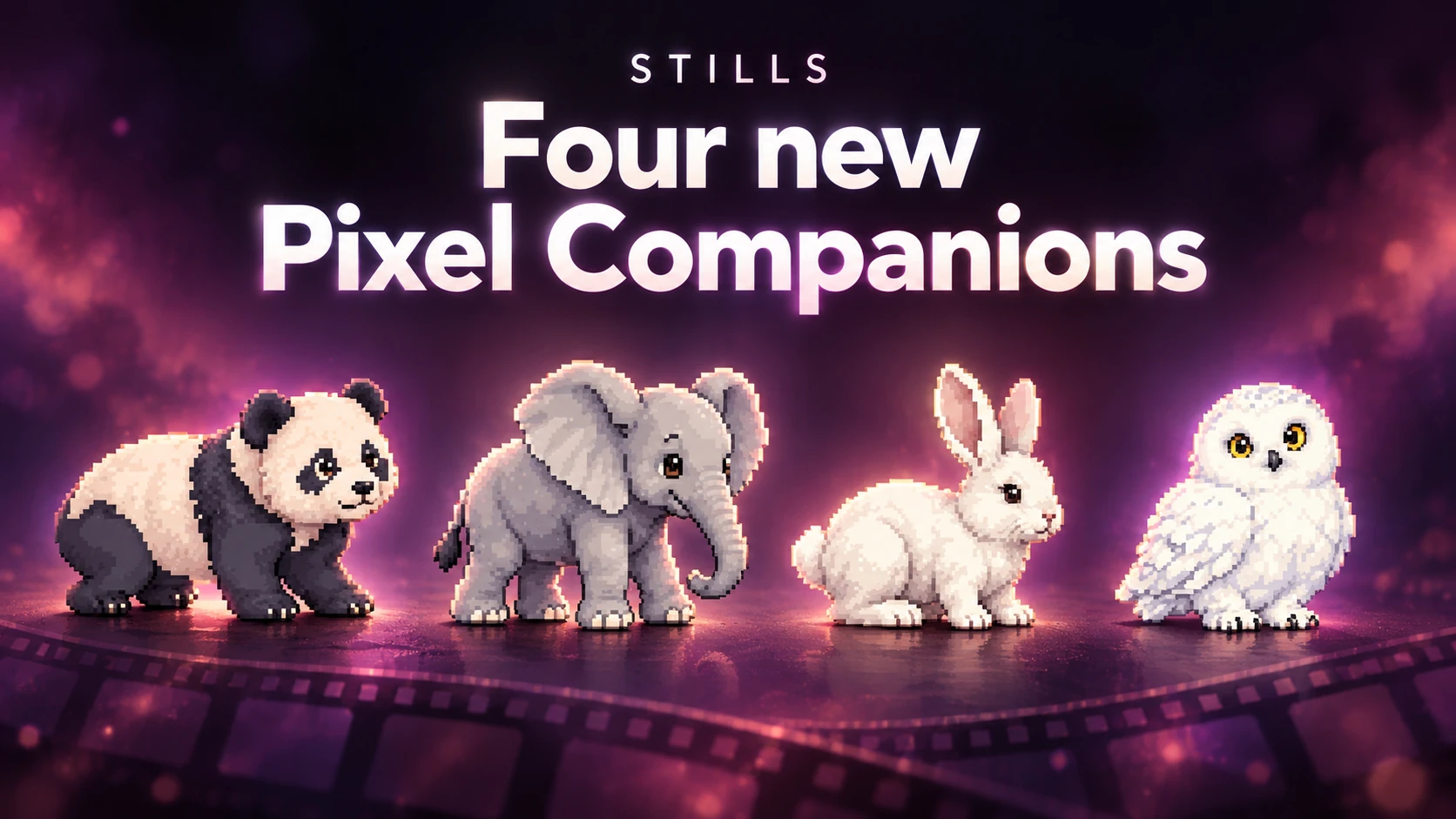 Illustration of four new Pixel Companions in the Stills app for Apple iPhone, iPad, and Mac, showing Panda Cub, Elephant Calf, Rabbit, and Snowy Owl above a filmstrip