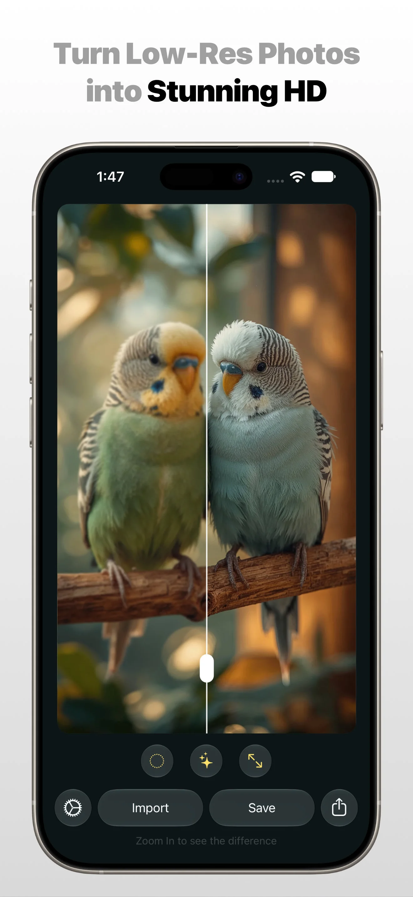 Photo Refinery app on Apple iPhone comparing two budgerigars with the message Turn Low-Res Photos into Stunning HD
