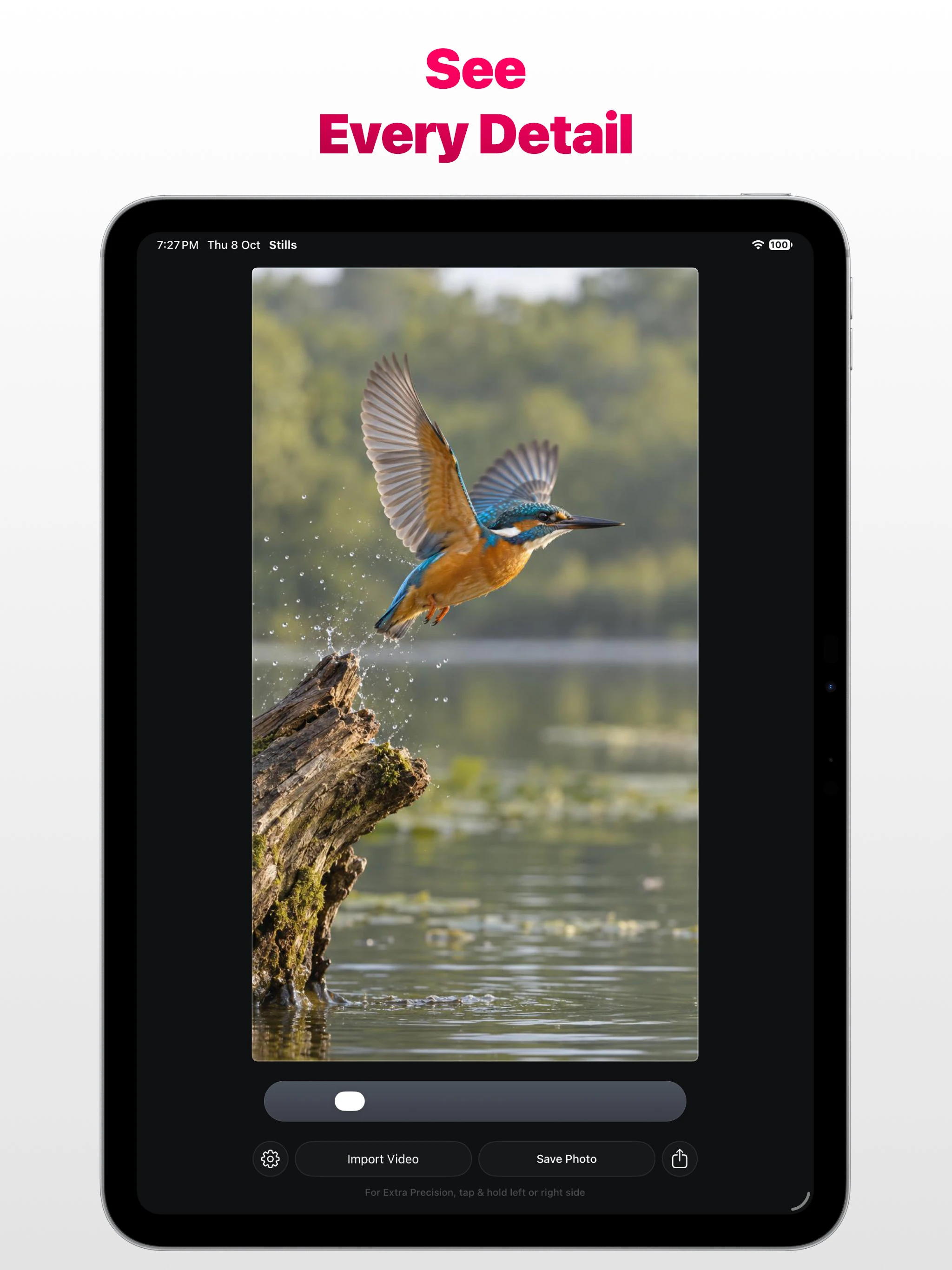 Stills app on Apple iPad showing a bird taking flight over water with the message See Every Detail