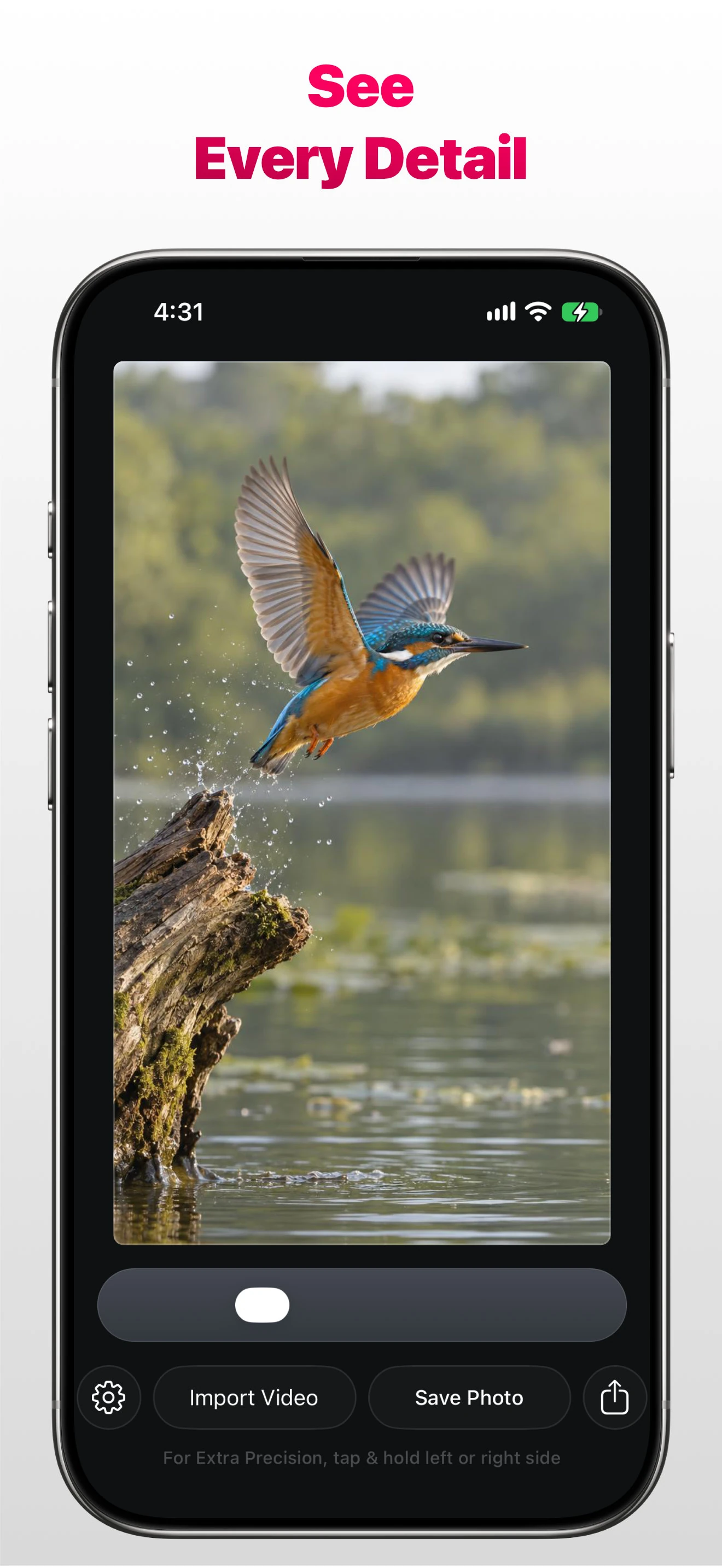 Stills app on Apple iPhone showing a bird taking flight over water with the message See Every Detail