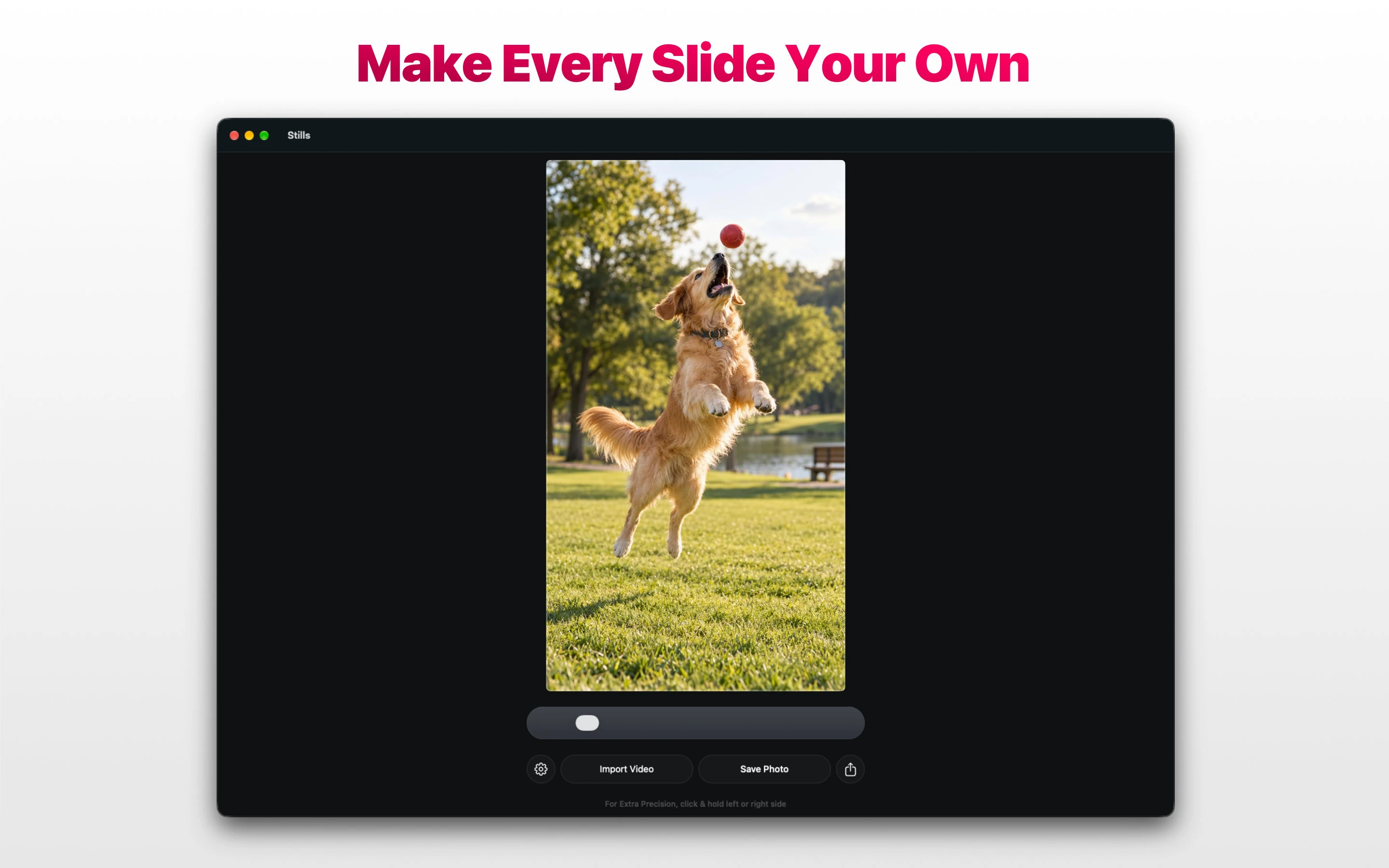 Stills app on Apple Mac selecting a dog jumping for a ball with the message Make Every Slide Your Own