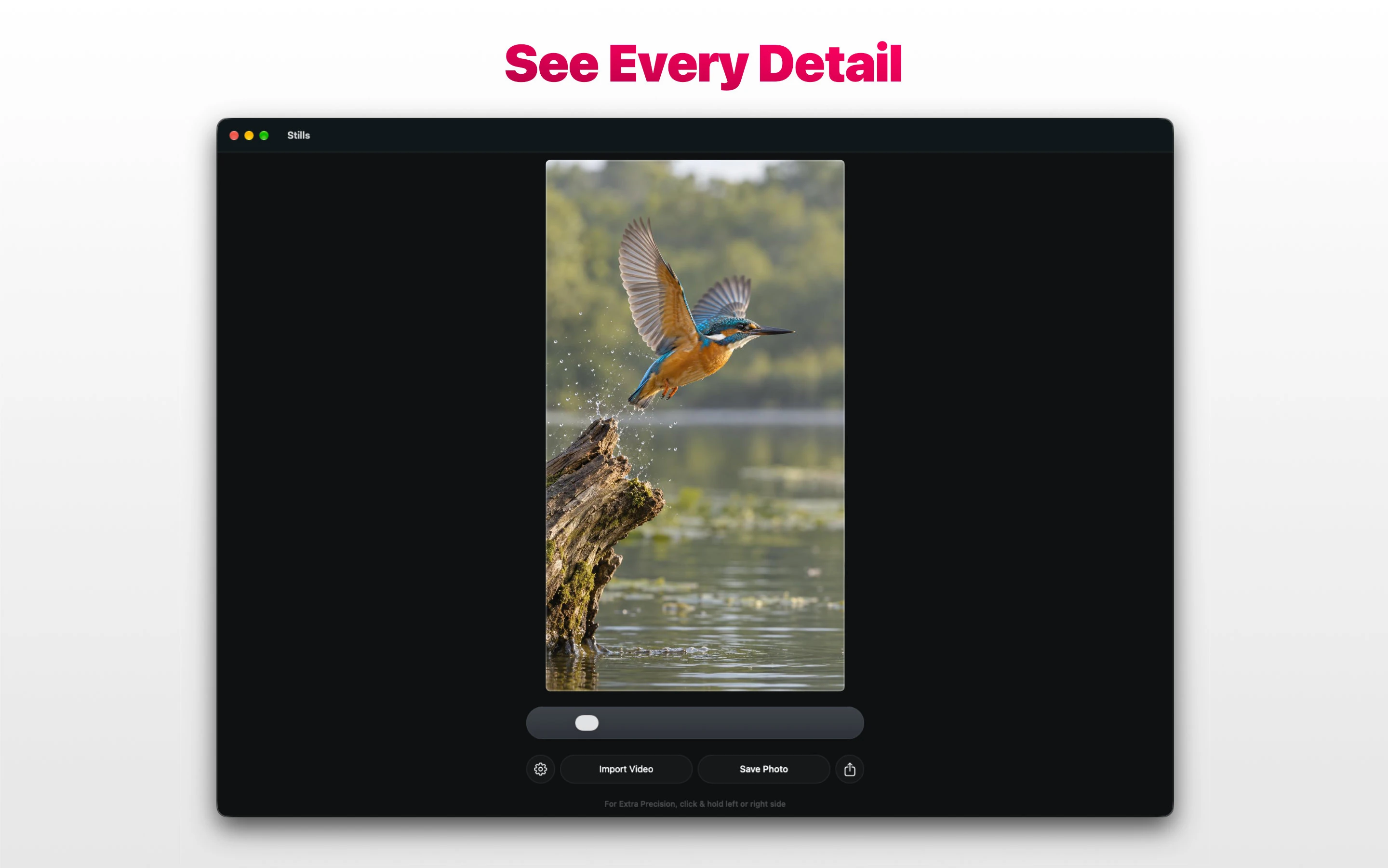 Stills app on Apple Mac showing a bird taking flight over water with the message See Every Detail